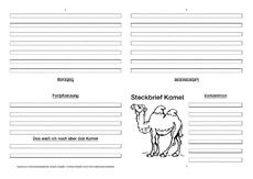 Kamel-Faltbuch-vierseitig-2.pdf